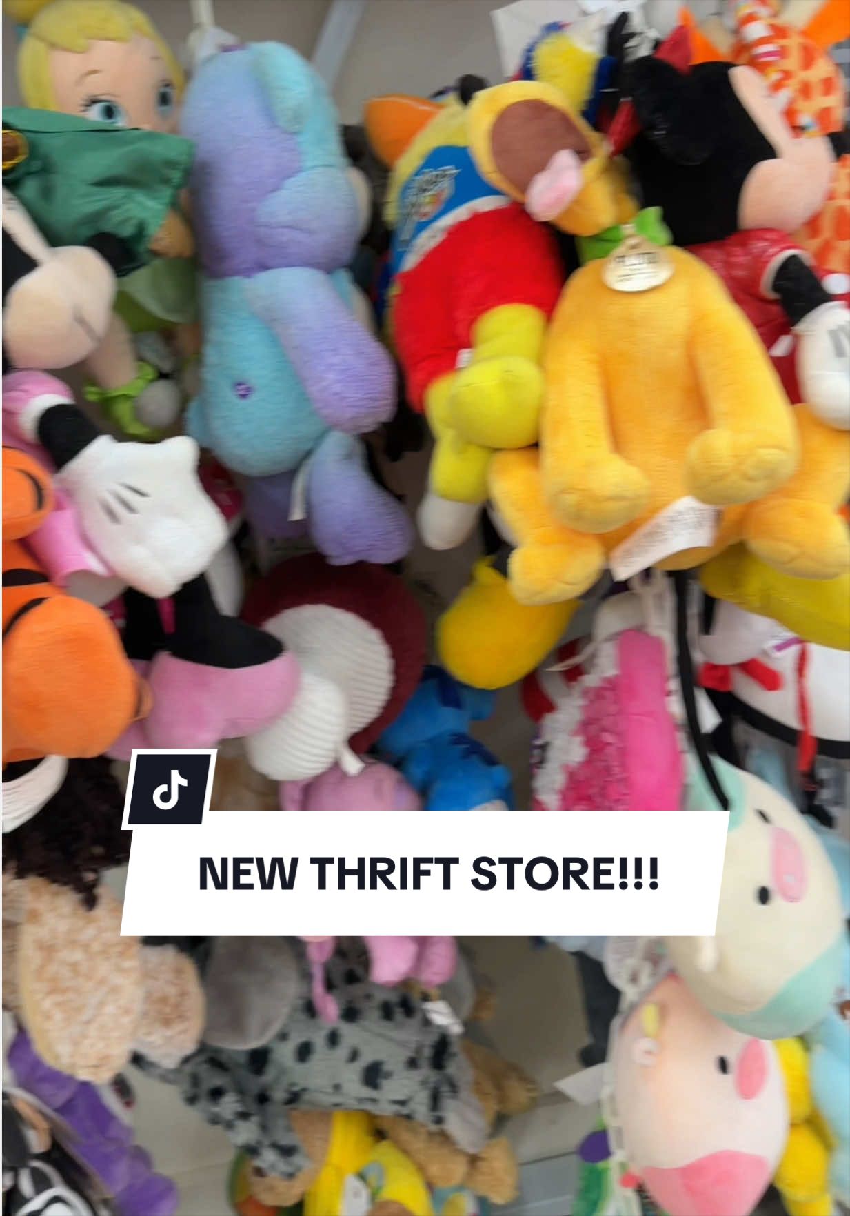 @katlynkayyy