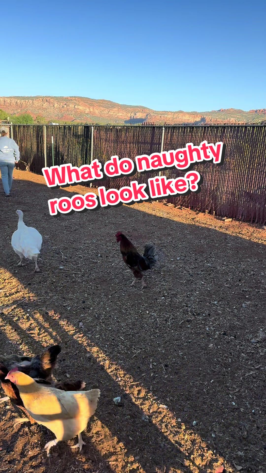 @moonbeammicrofarm