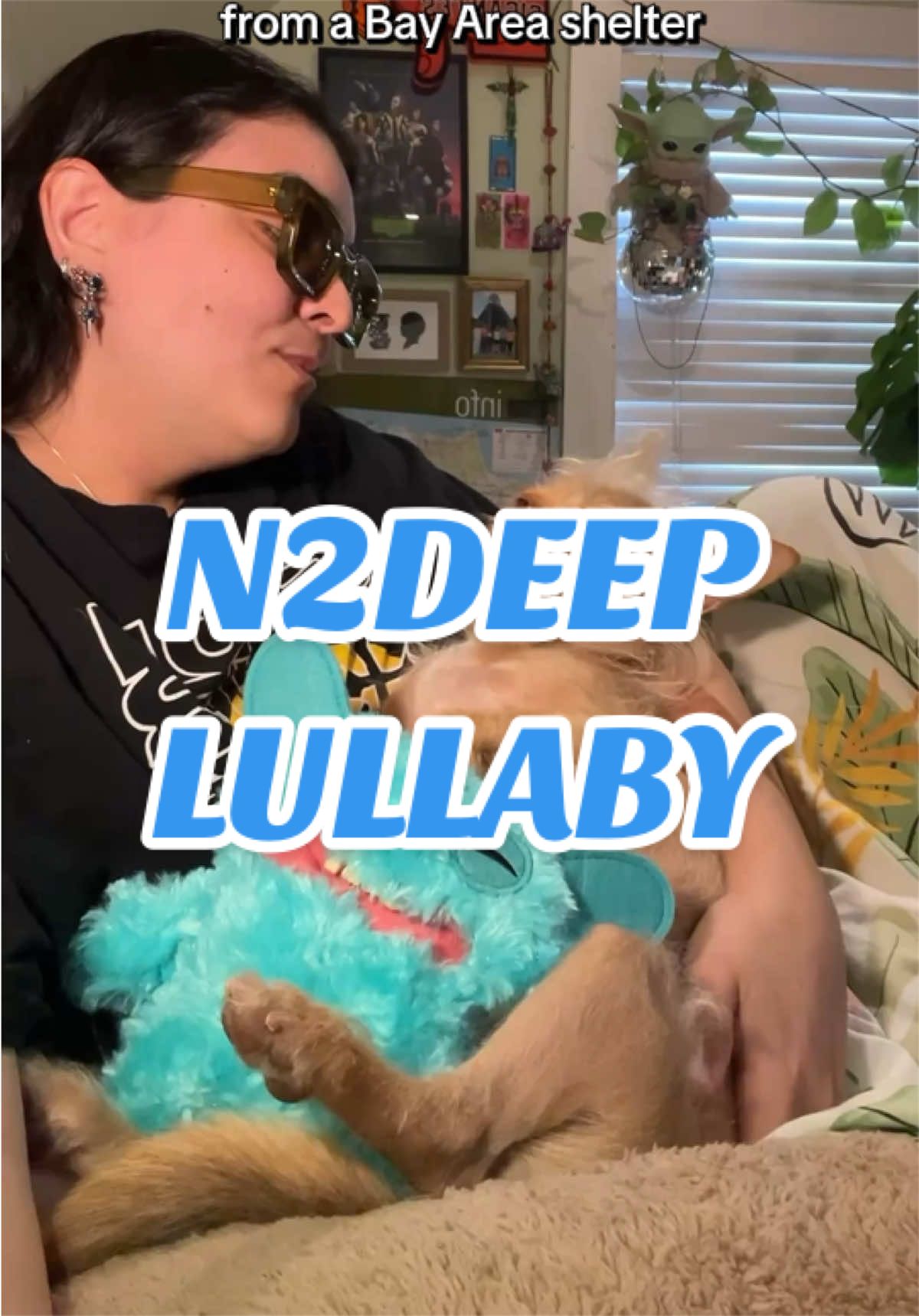 @What’s New Sunny-Doo?