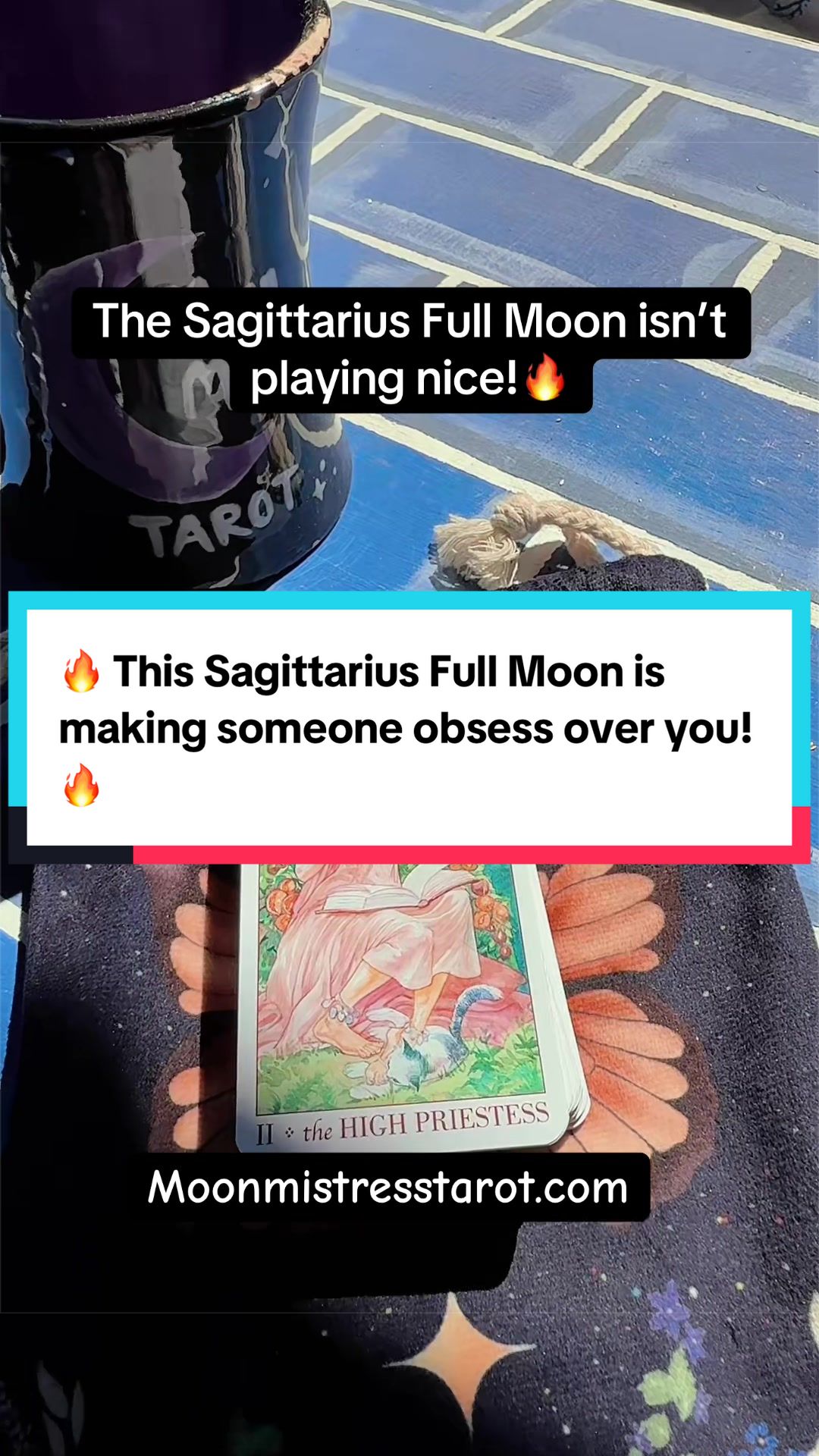 @Moon Mistress Tarot 🌙✨