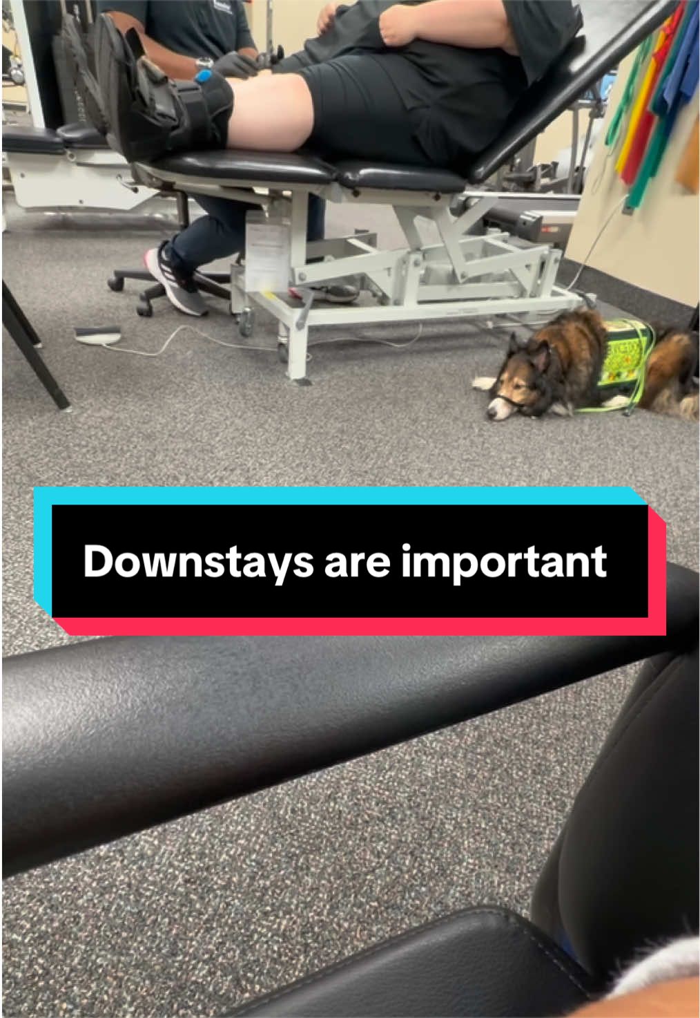 @Dakota & Pups