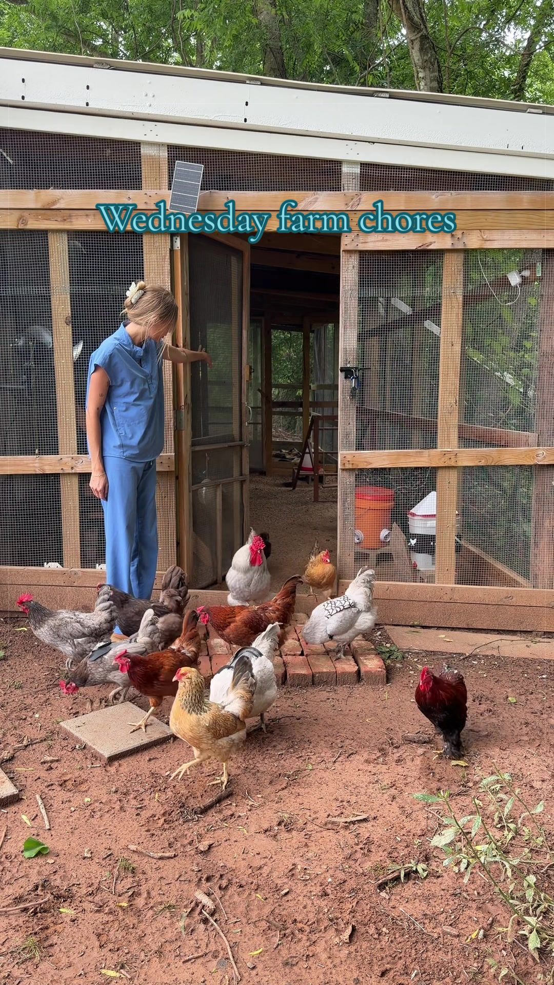 @meg&rsquo;s mini farm