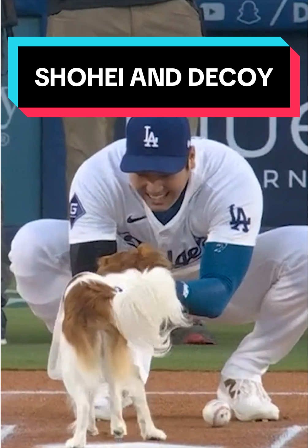 @MLB