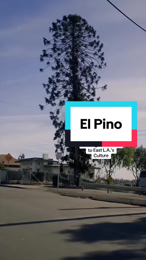 @L.A. in a Minute