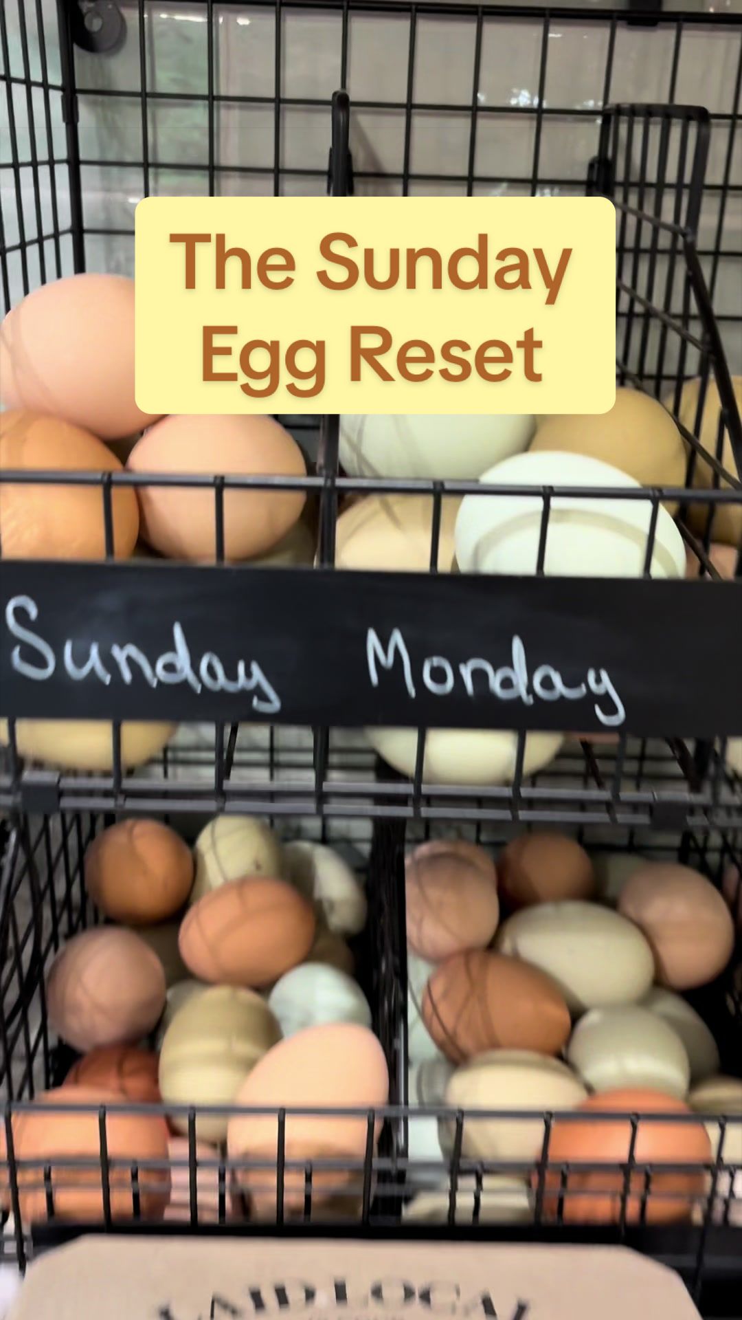 @Amy Jo | Eggnigma Holler 🐔