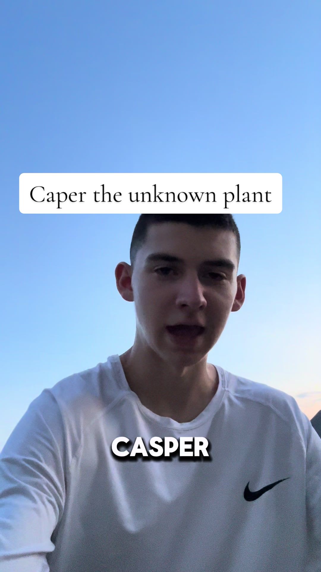 @Aiden&rsquo;sgardening