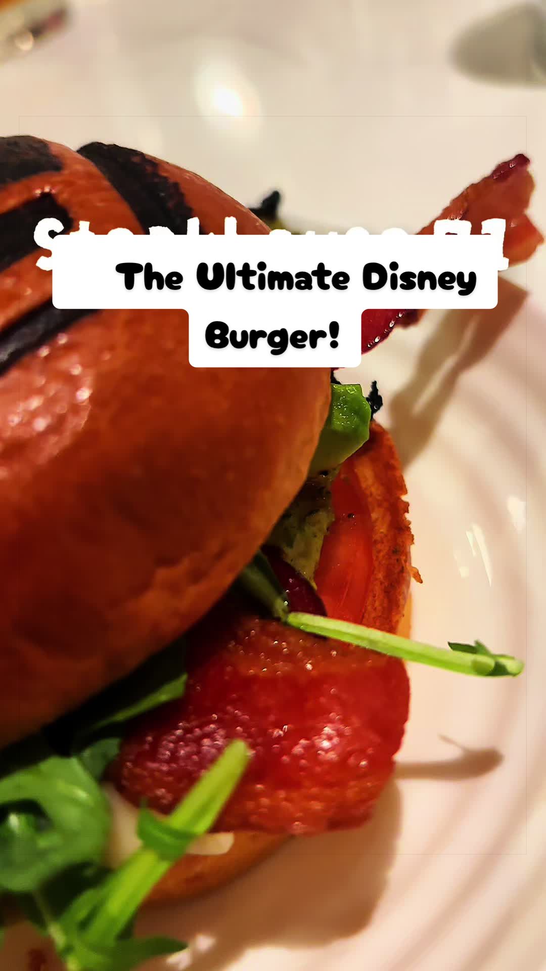 @disneypark_photos