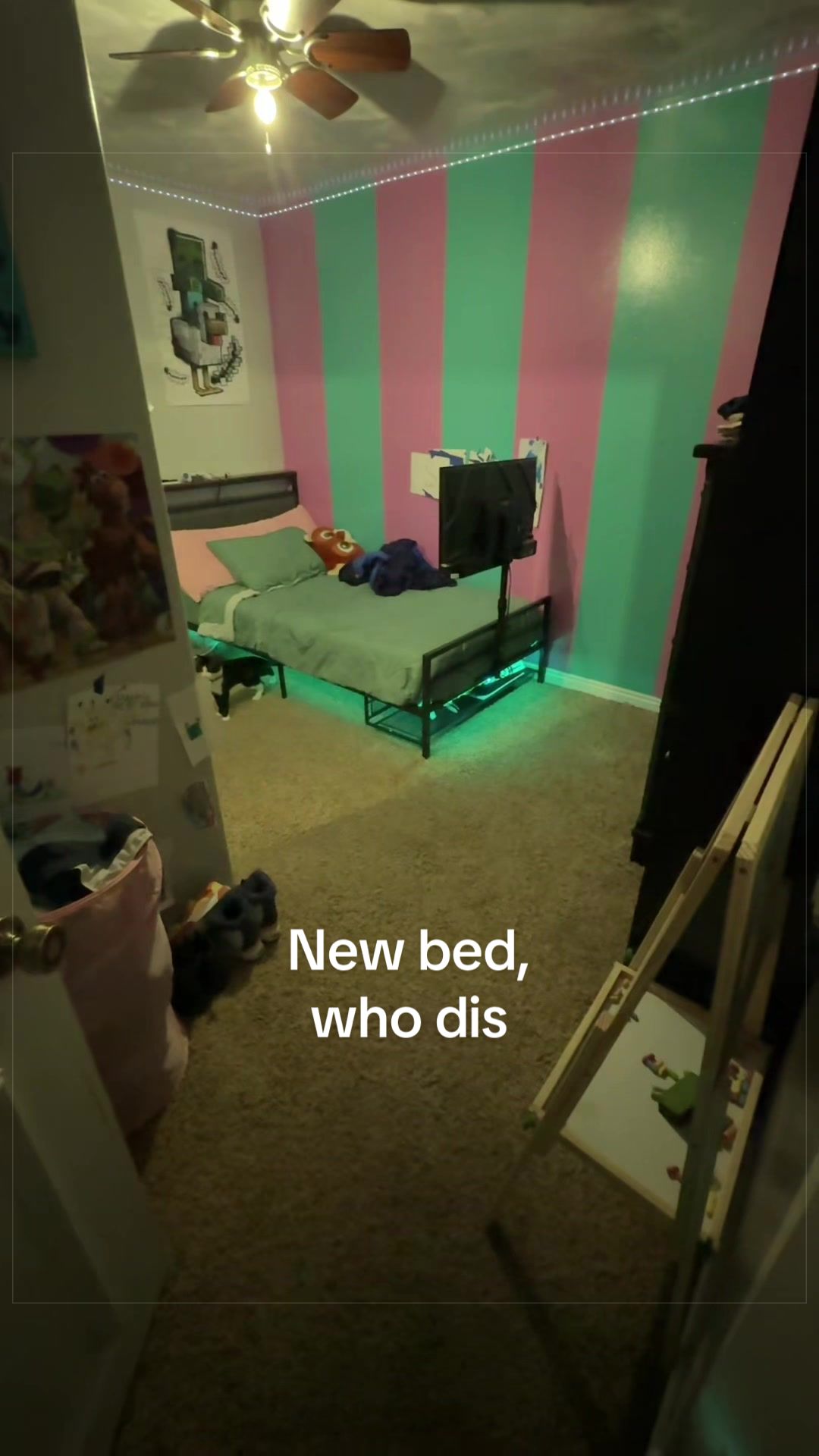 @Vanessa Steve