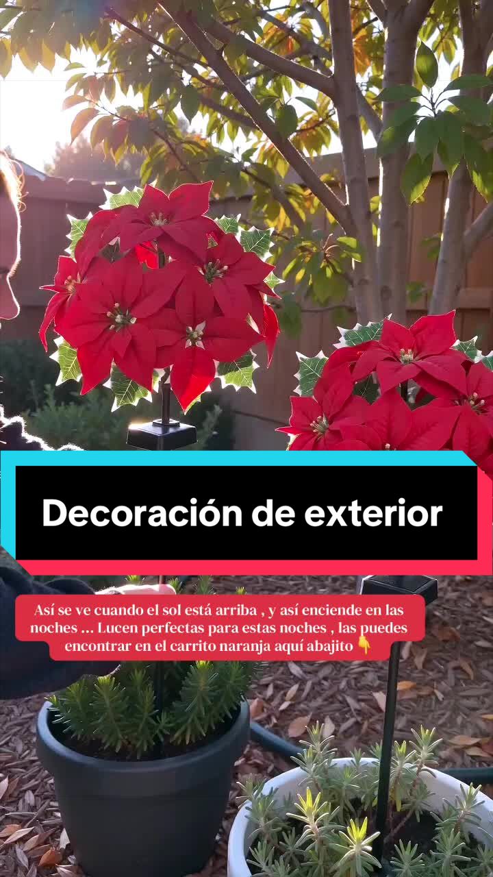 @YANETSHOP🇨🇺