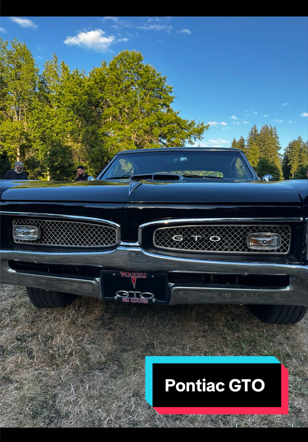 @V8 Vibes