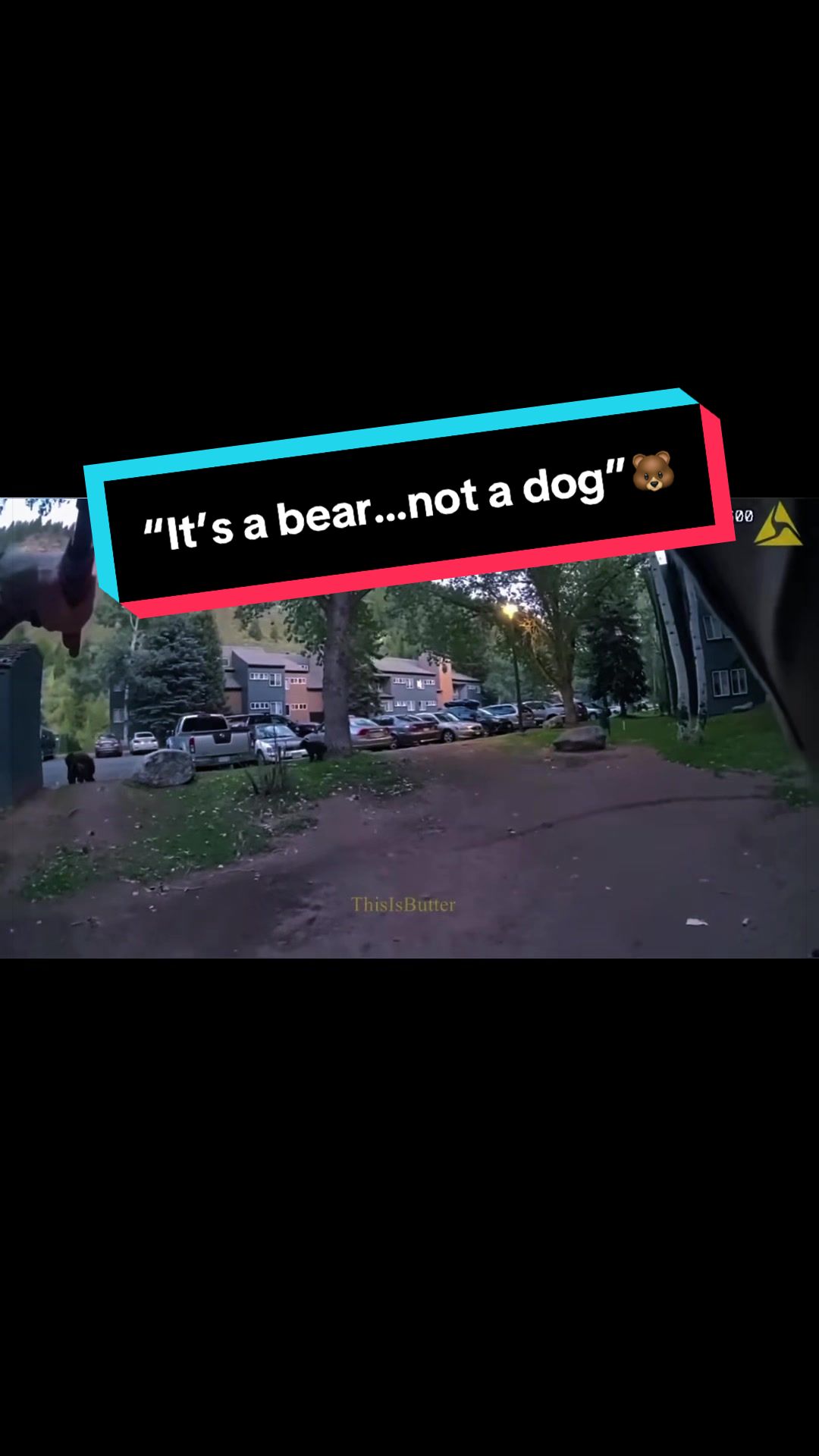 @policelawnews