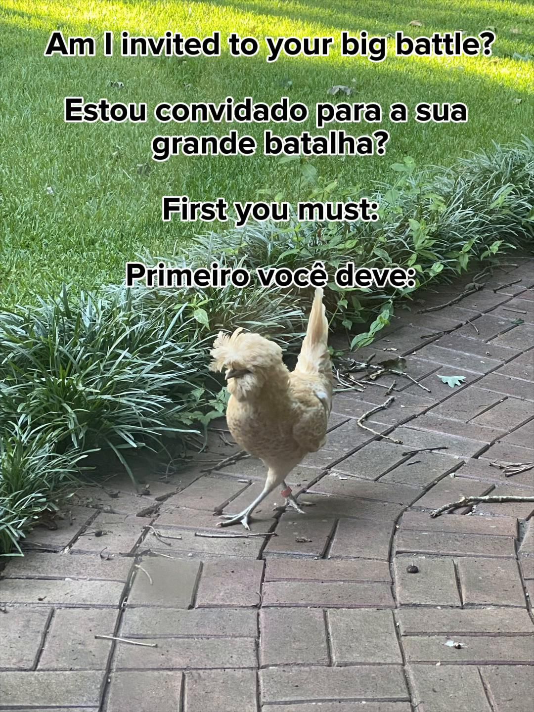 @🌶️ The Farm 🌶️