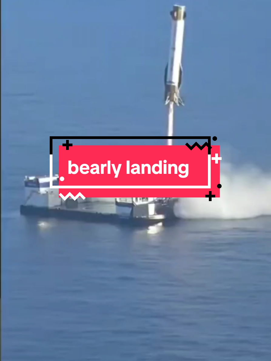 @bearlyconspiracies