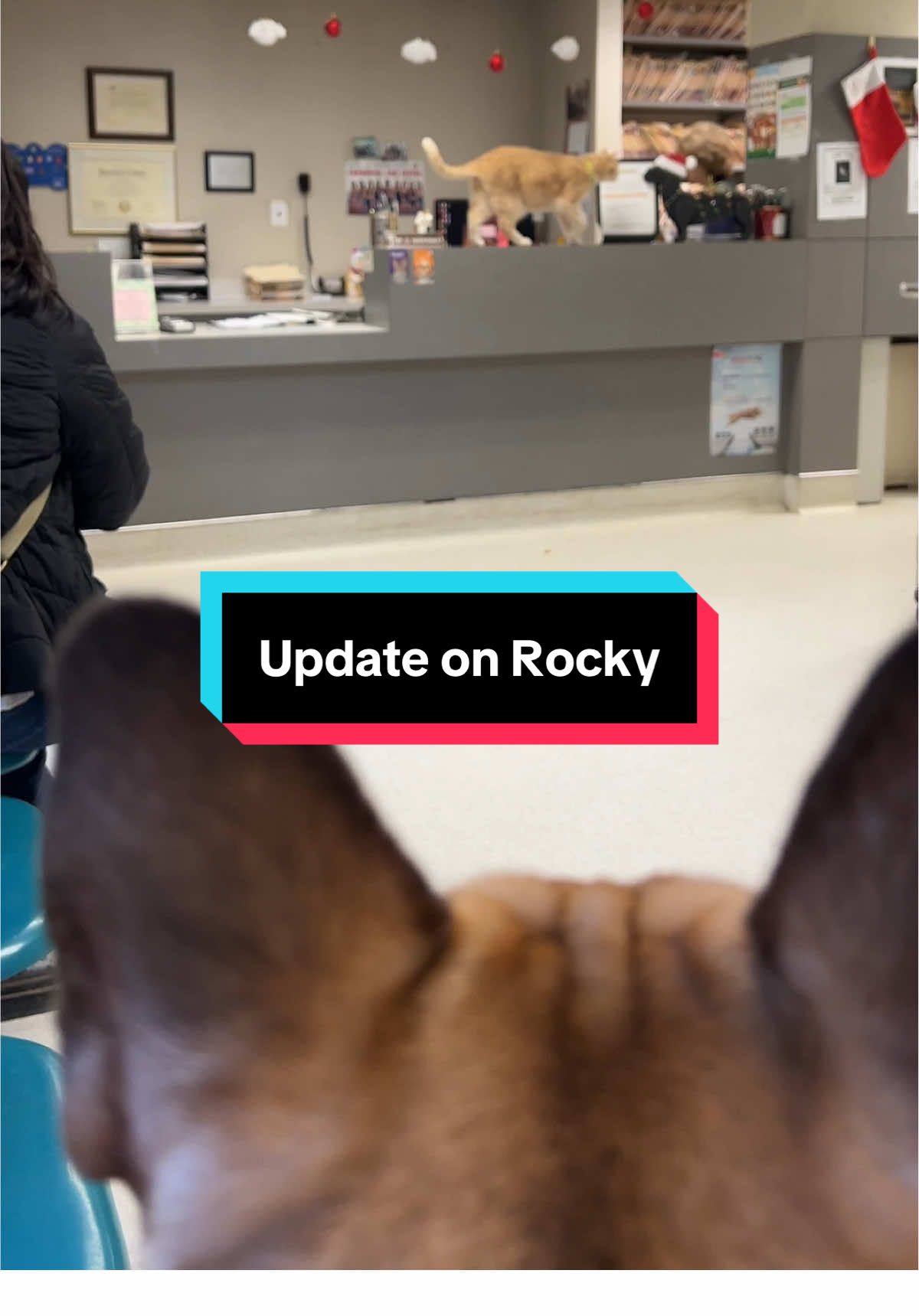 @Angie | Rocky | Fam & Friends