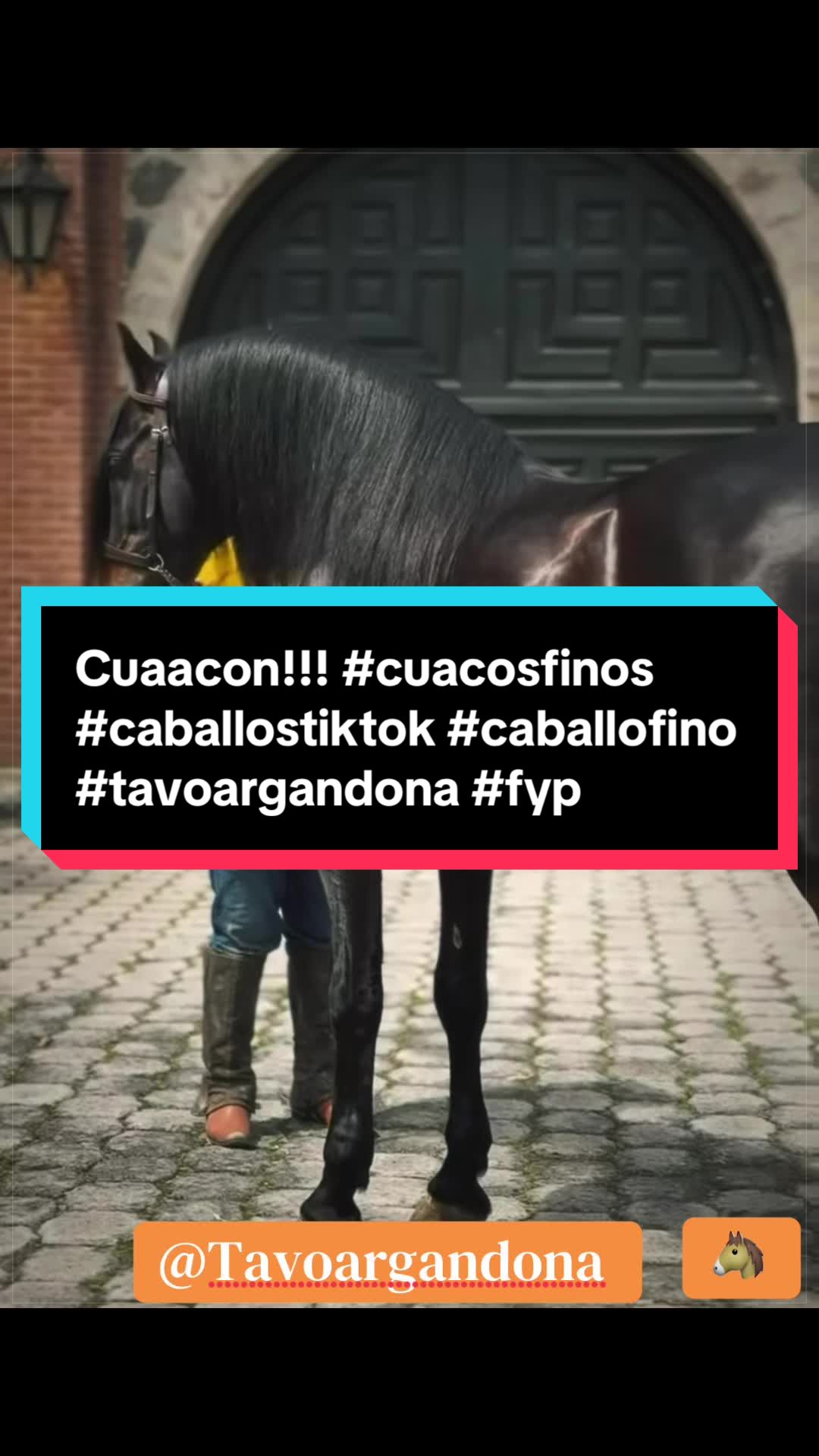 @Tavo argandoña .