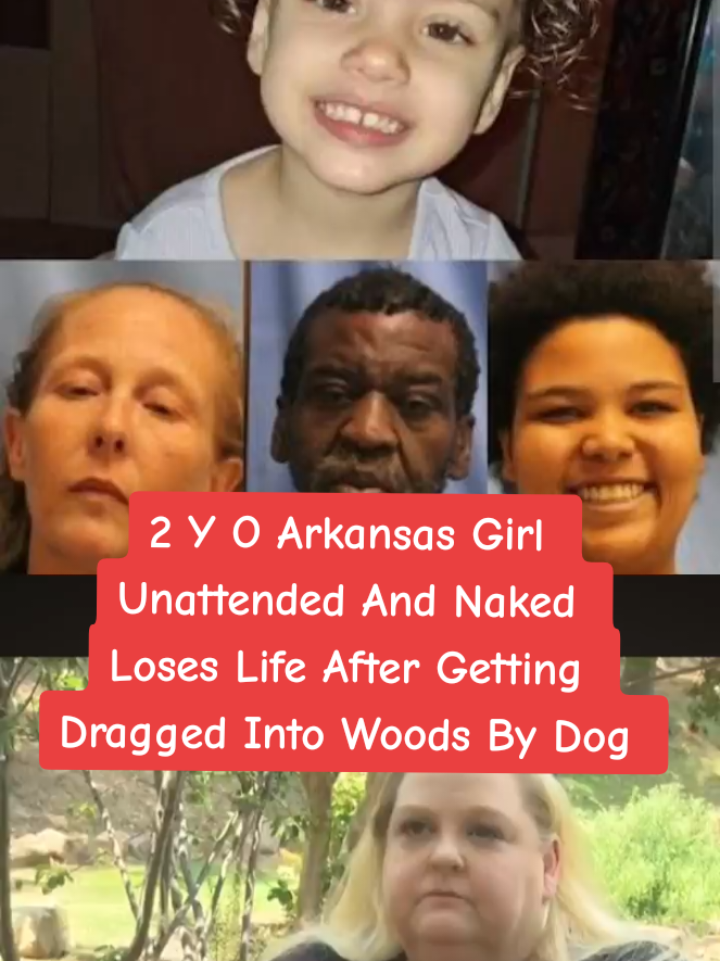 @LukesViews&News