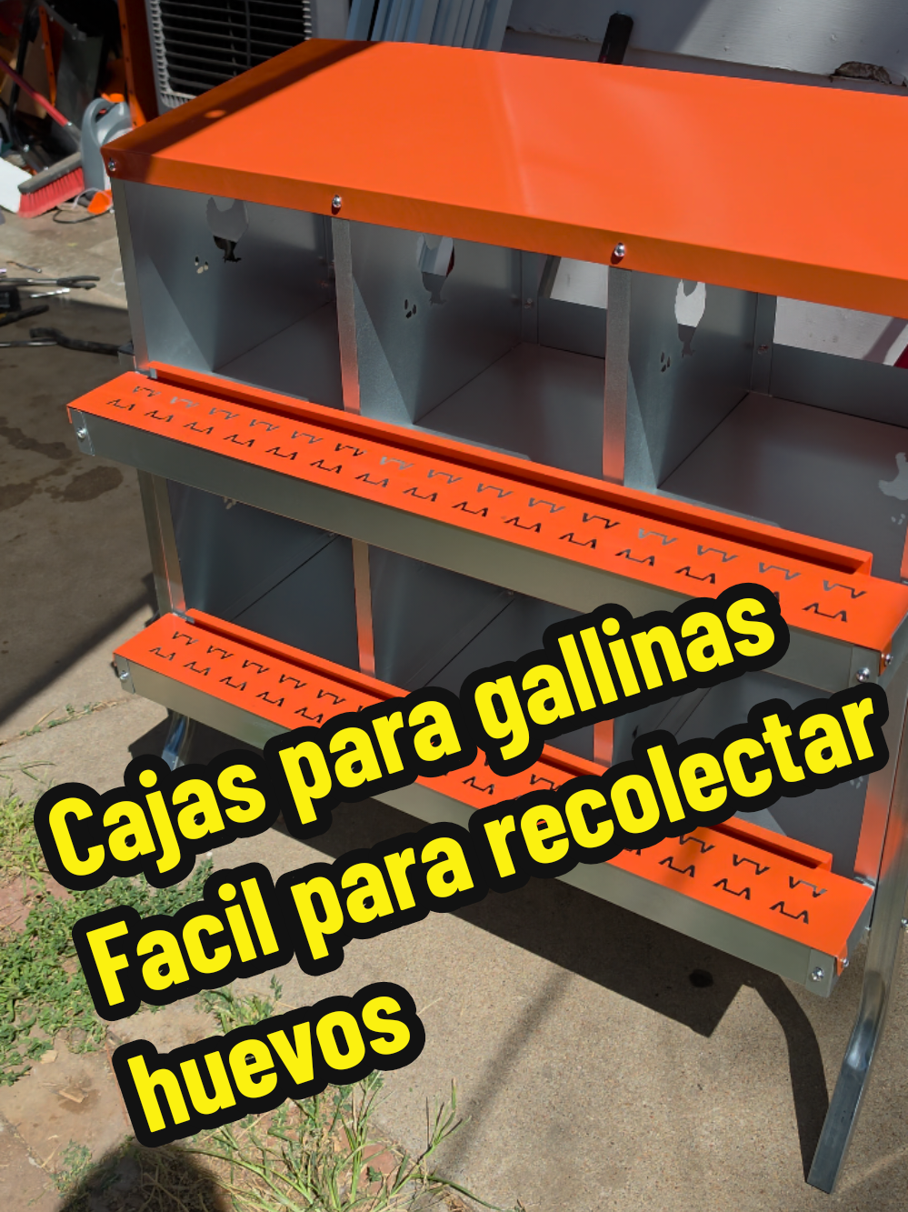 @BetO MendozA