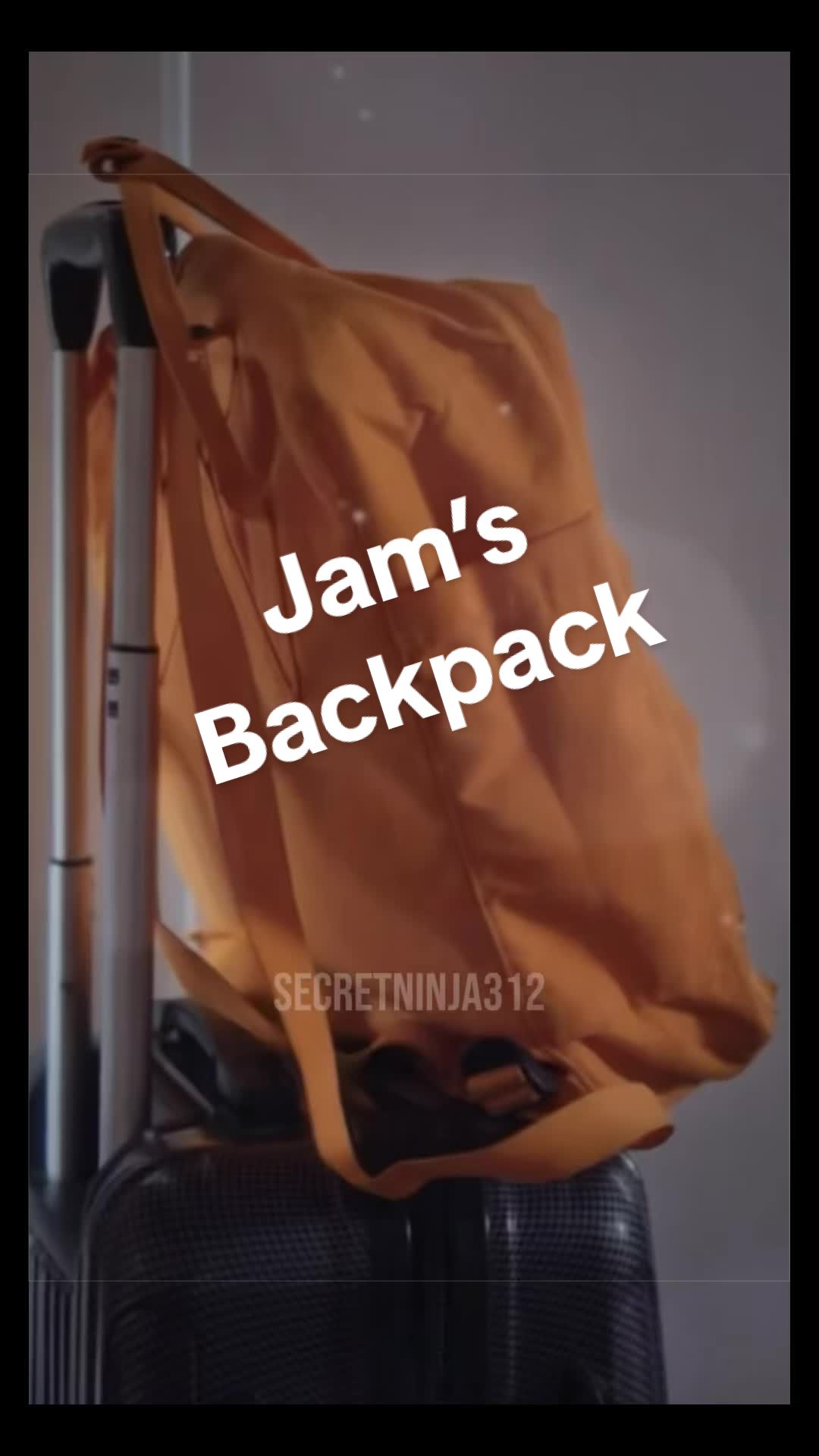 @SecretNinja312 - Tina