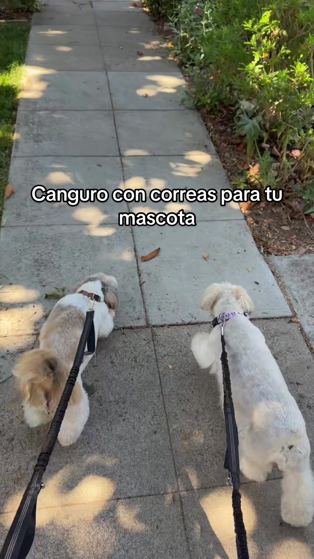 @Karito Lobo