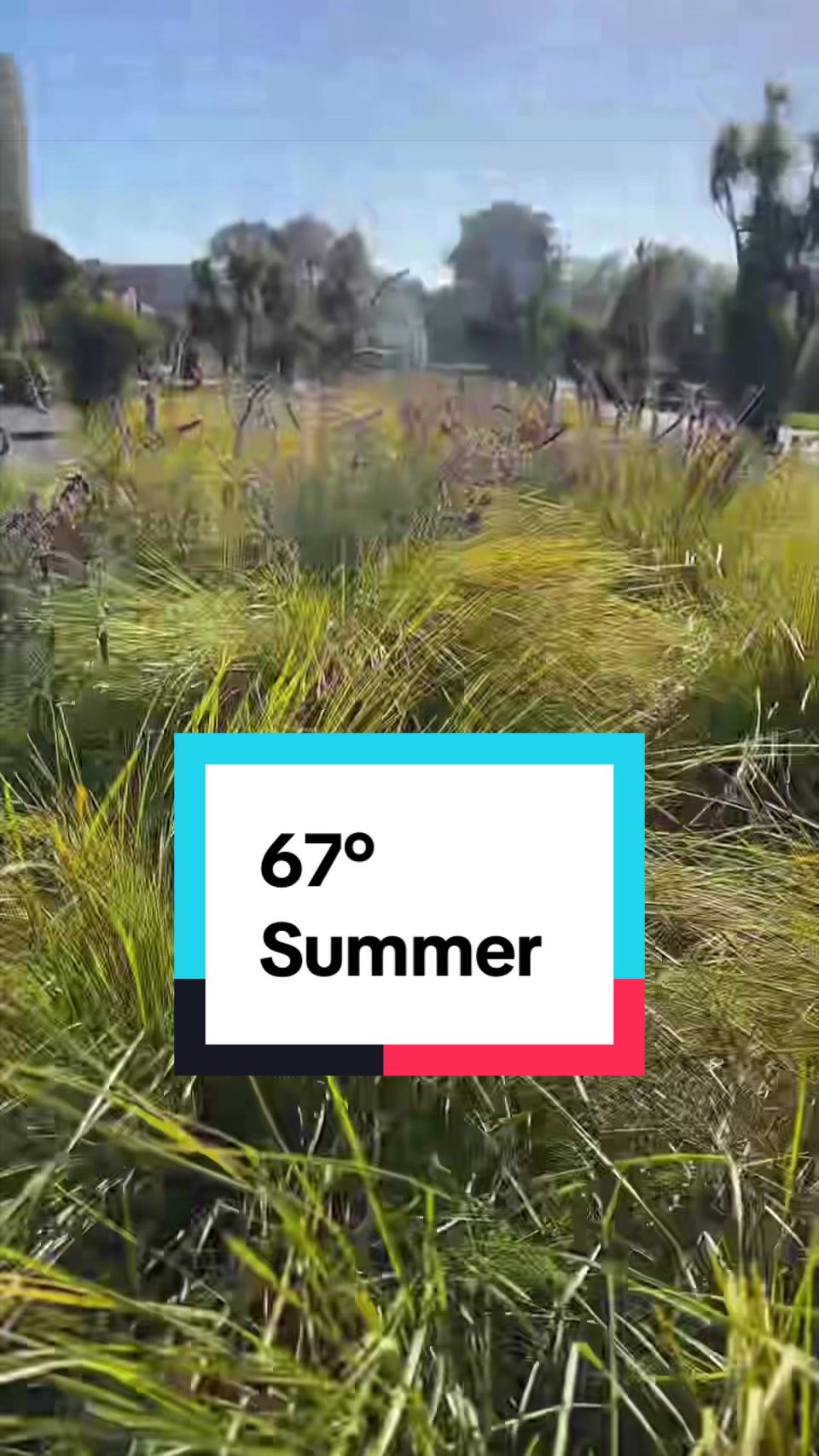 @Rico San Francisco