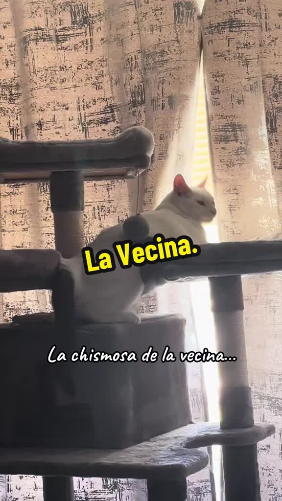 @🦖 MEOWassic CAT😺