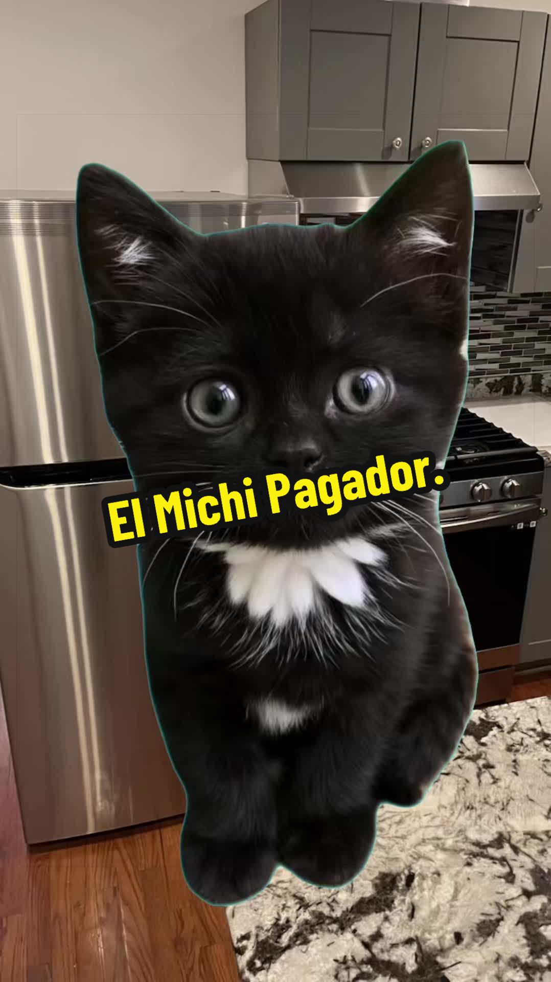@🦖 MEOWassic CAT😺