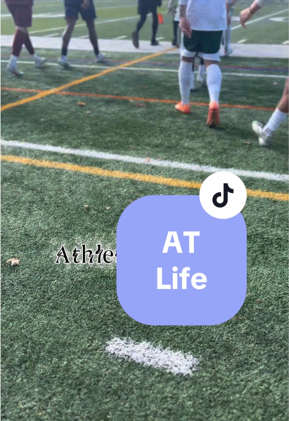 @athletictrainerwizard