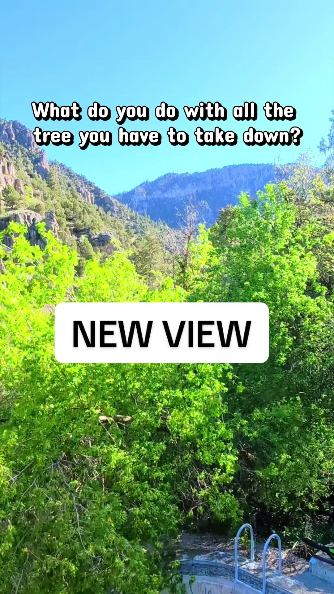 @FREEDOM HUSTLER