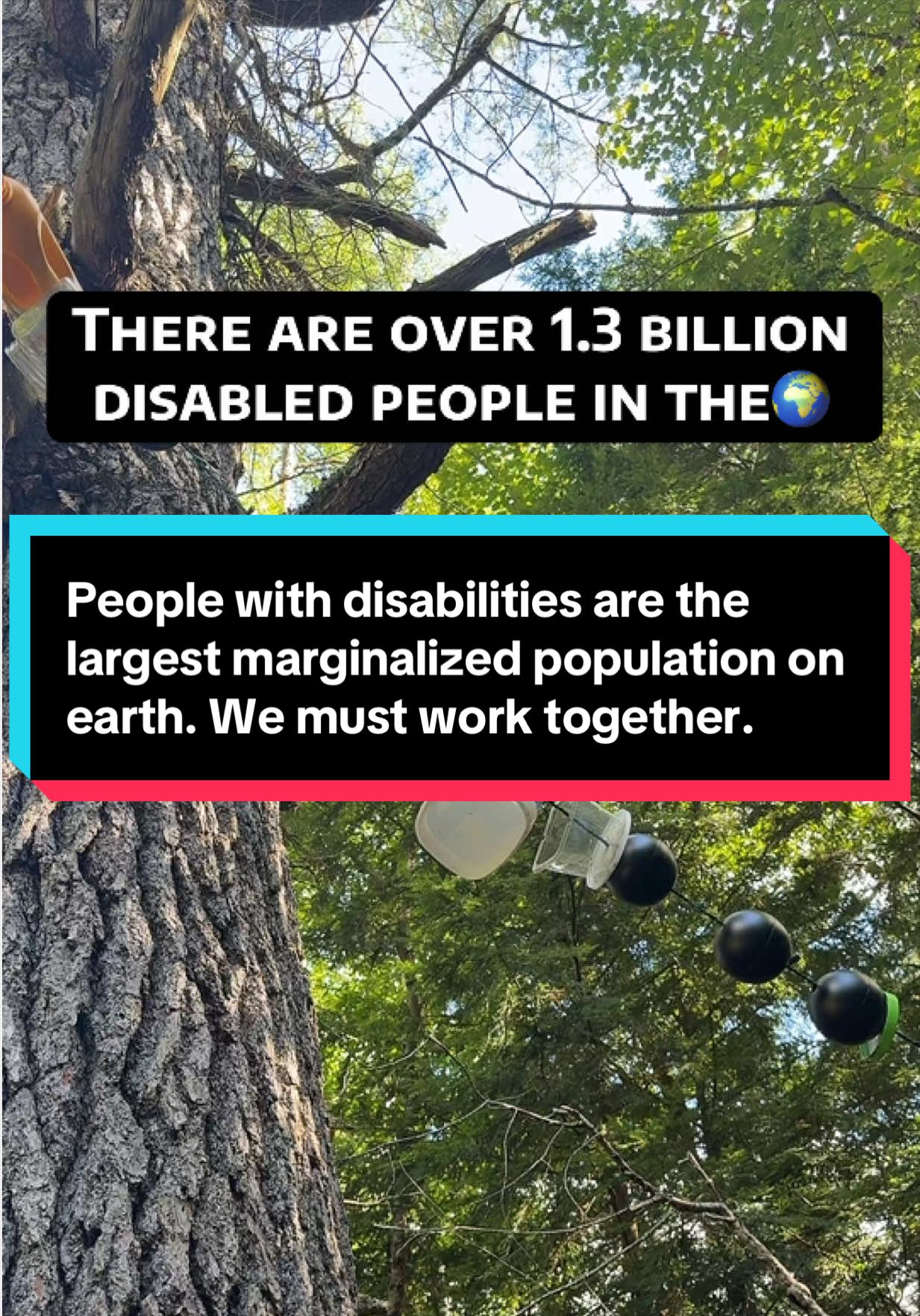 @Allison | Disability Rights⚖️