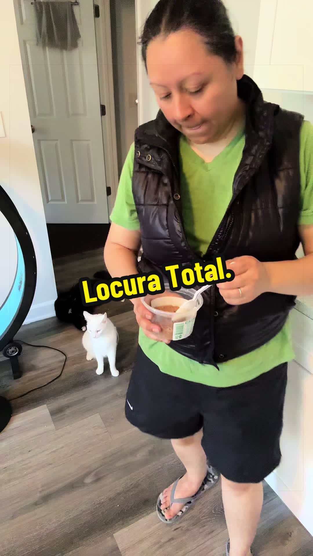@🦖 MEOWassic CAT😺