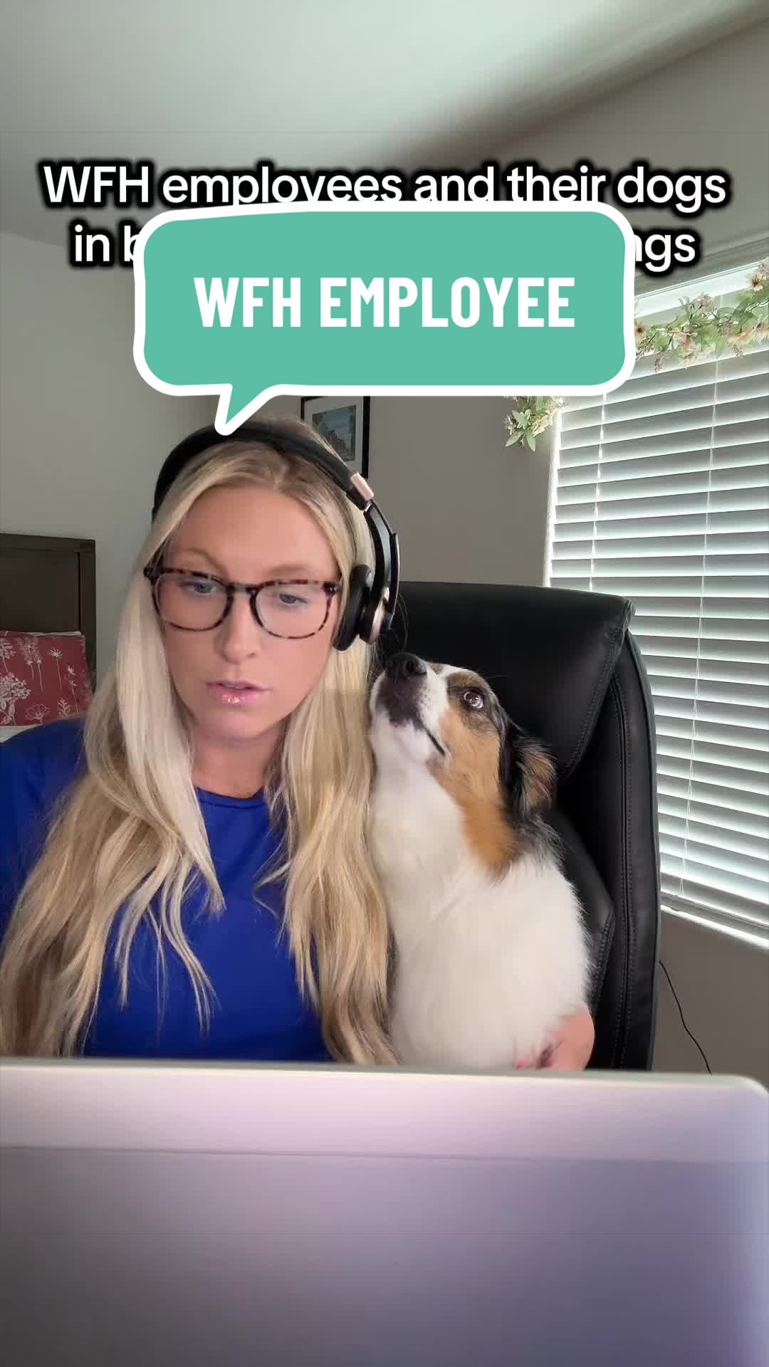@leeanimal_