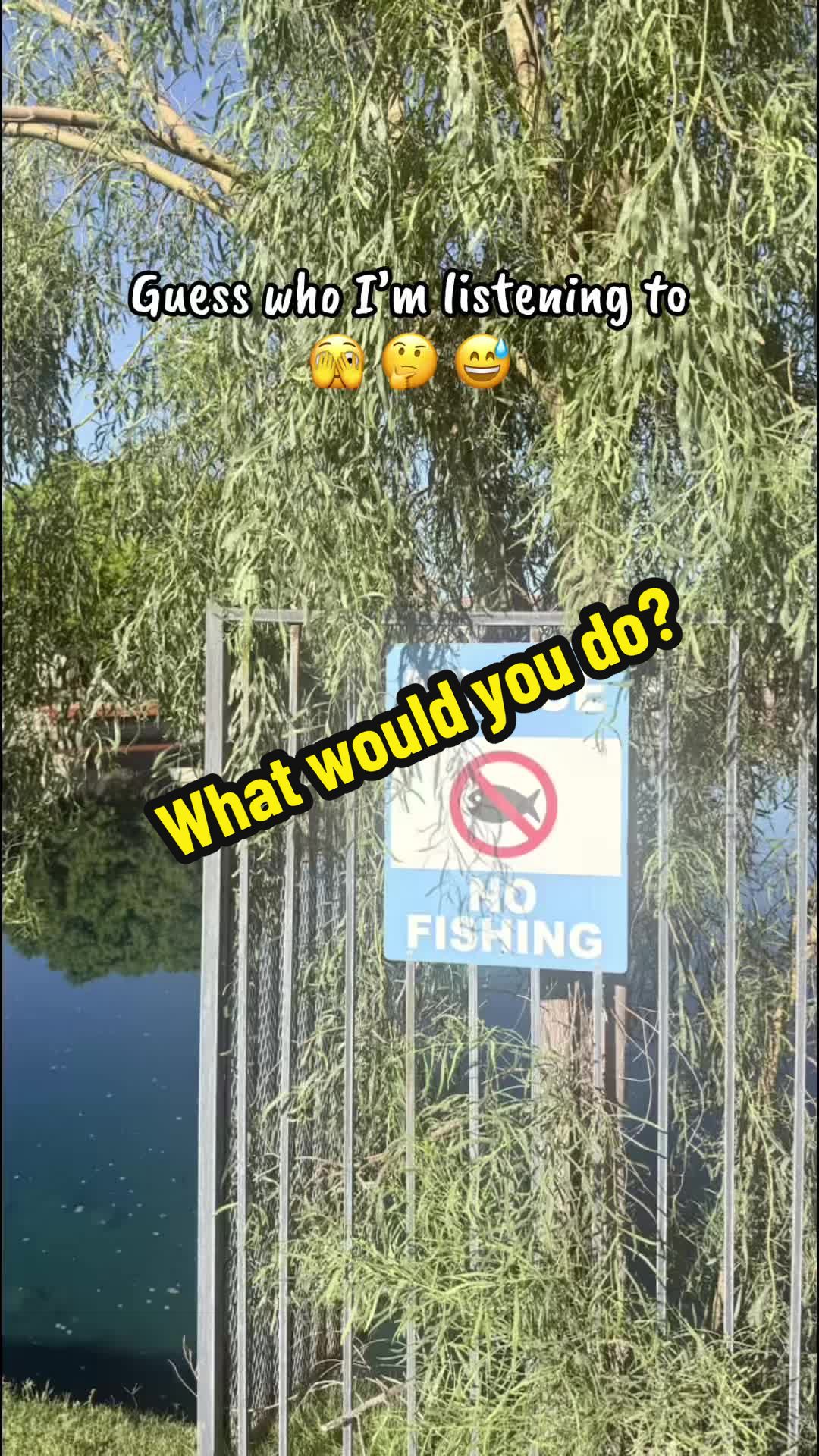 @Luu Nguyen Fishing