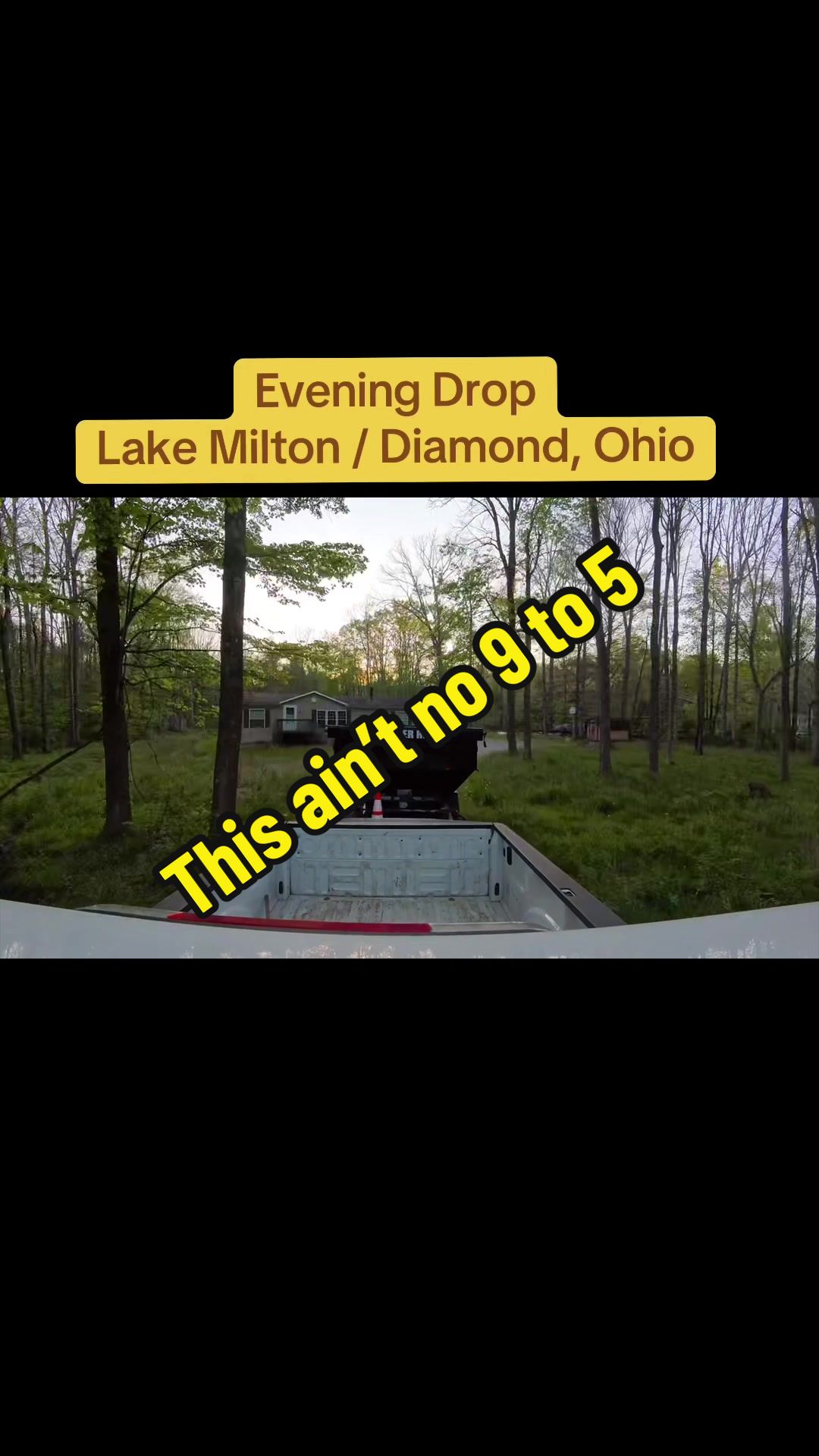 @MF Dumpsters