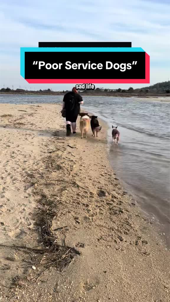 @Dakota & Pups
