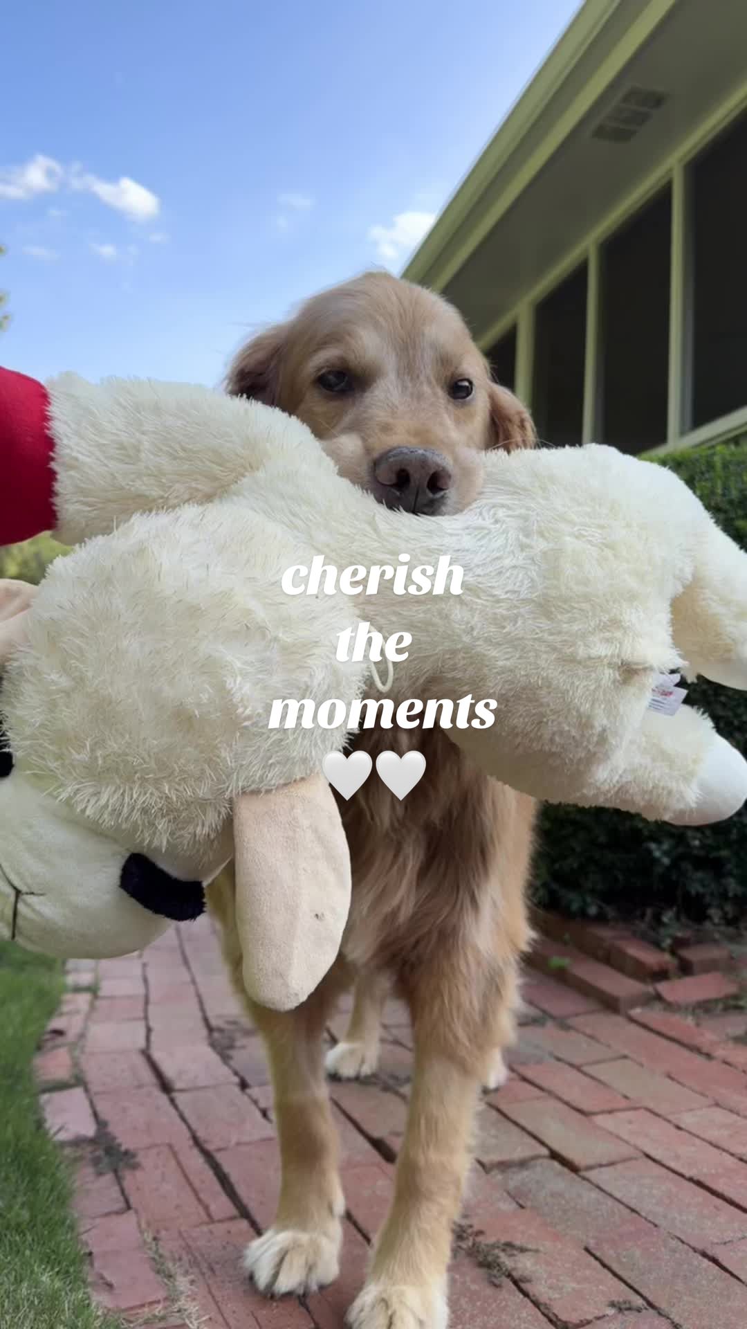 @Sydney Rae