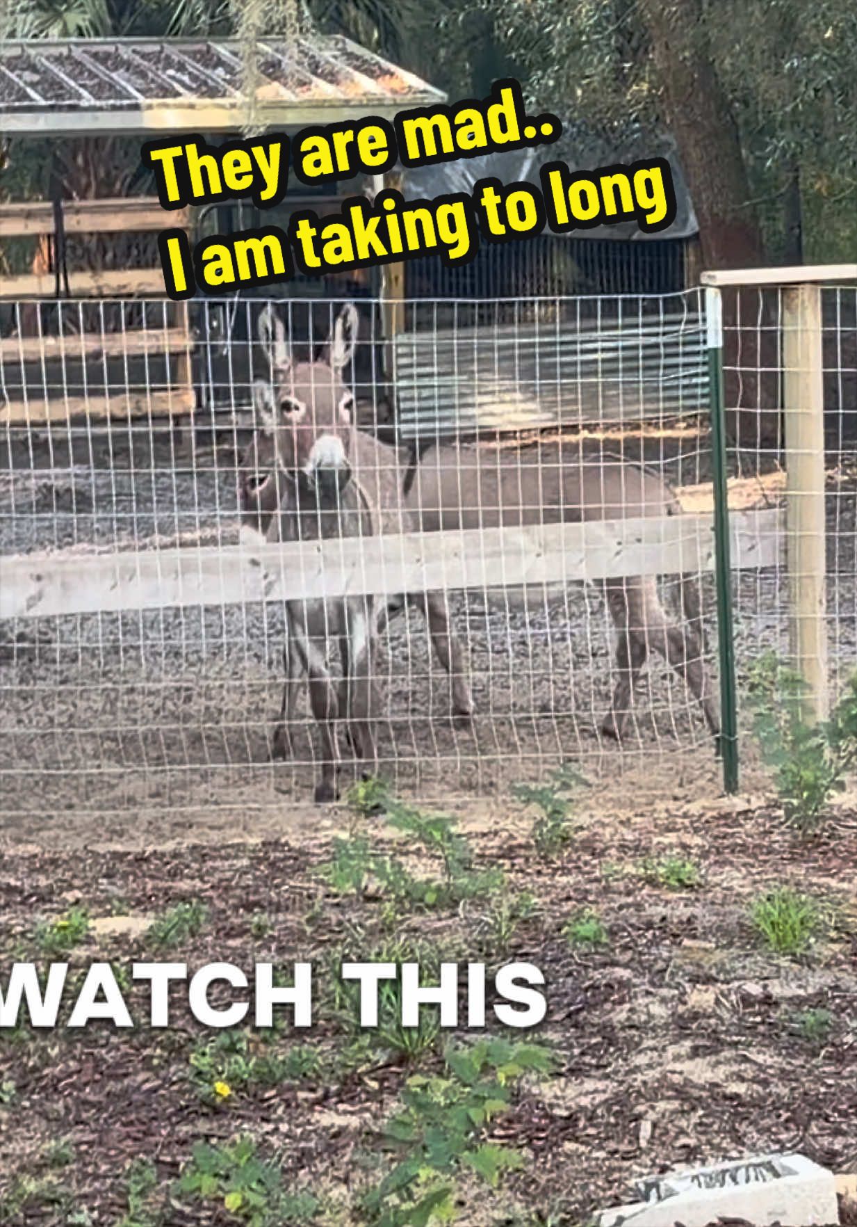 @R Ranch