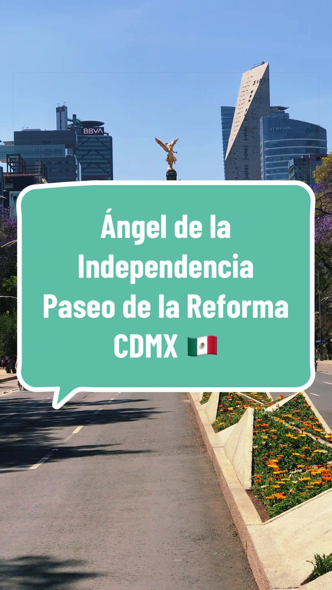 @caballeroviajero0317
