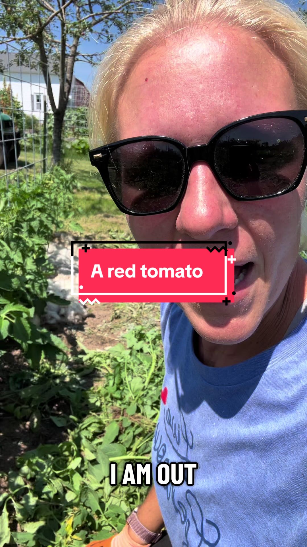 @littlesandycreekfarm