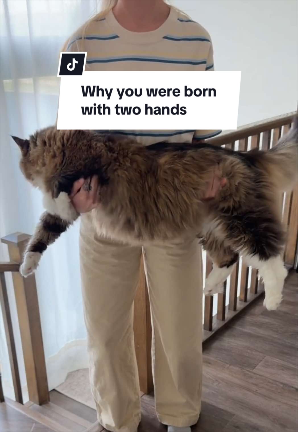 @Tuft & Paw