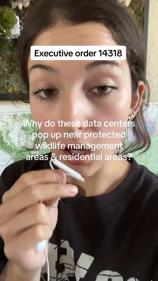 @🌲