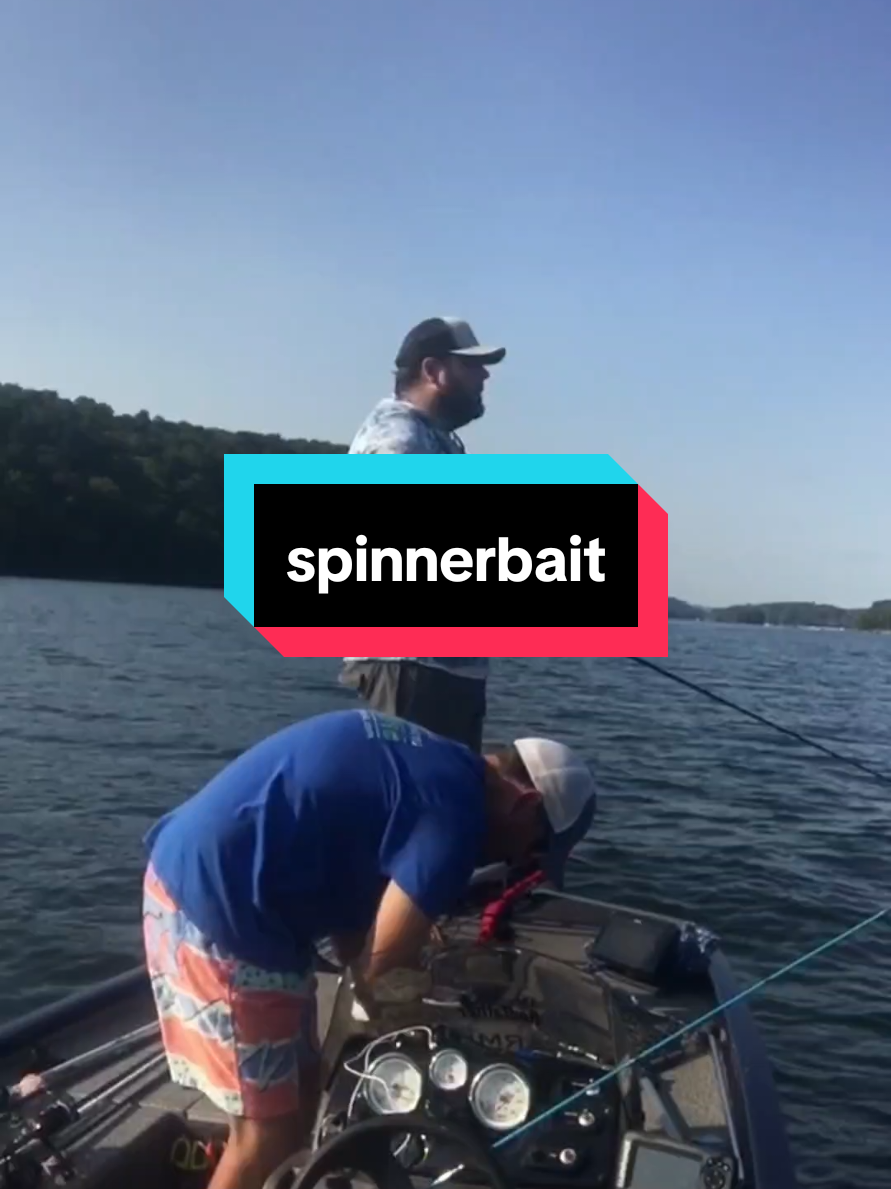 @SP_The_Ned_Master