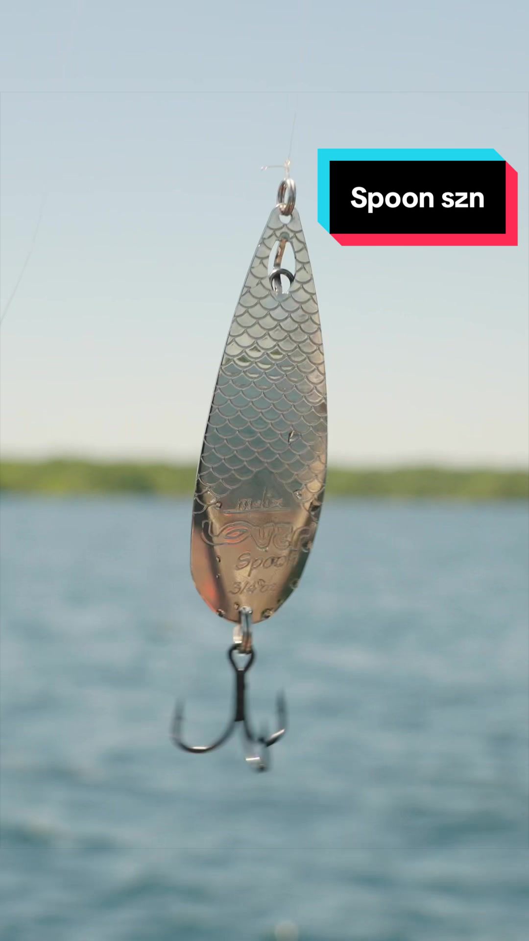 @Mike Iaconelli Fishing