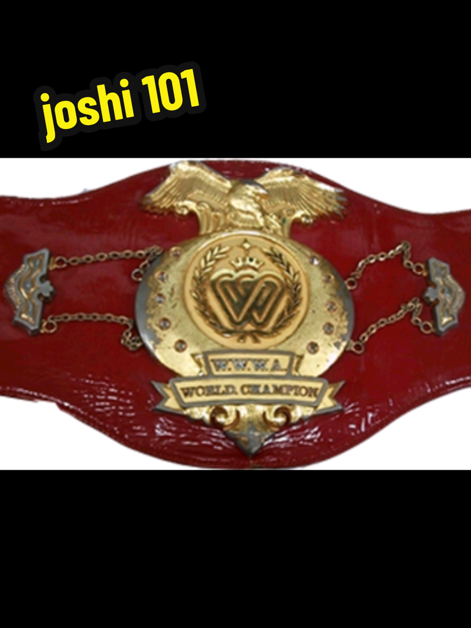 @Queenslariat joshi