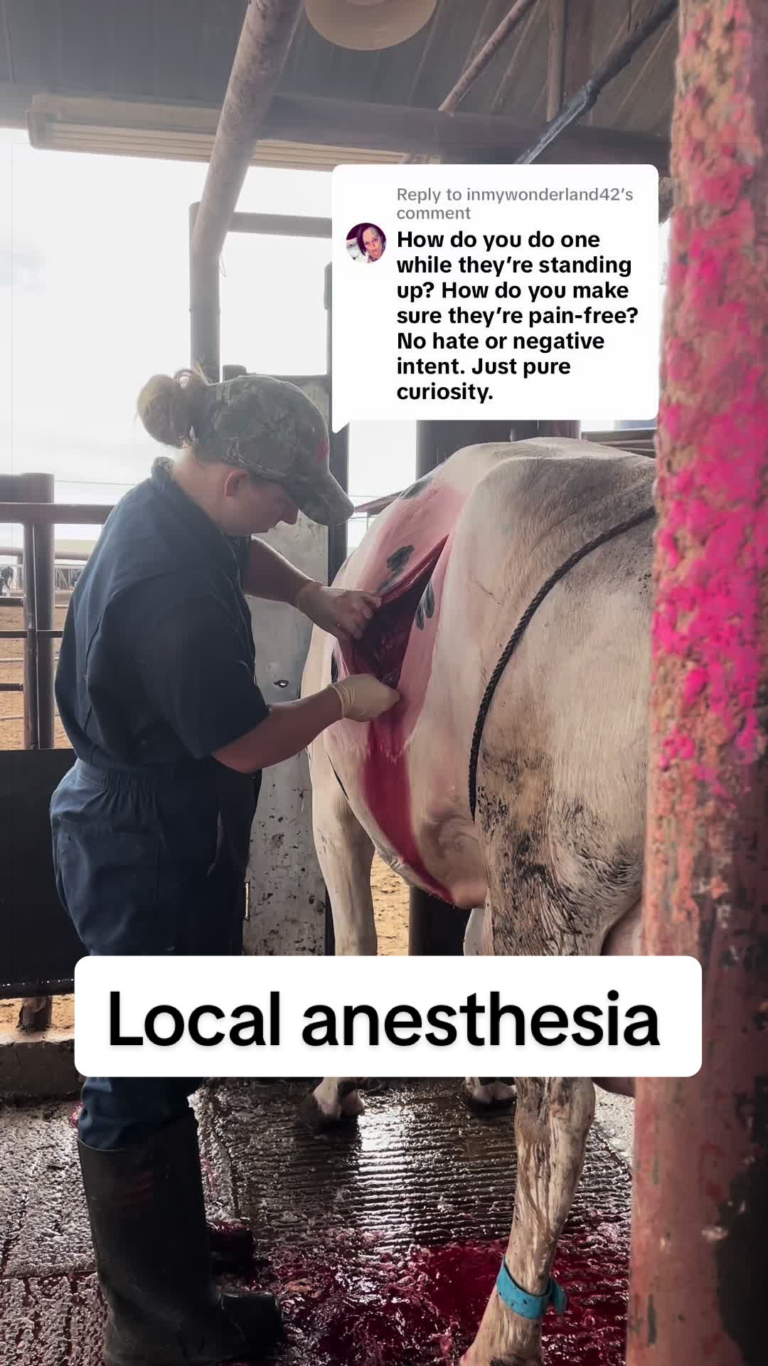 @Dairy Vet Dr. Michelle