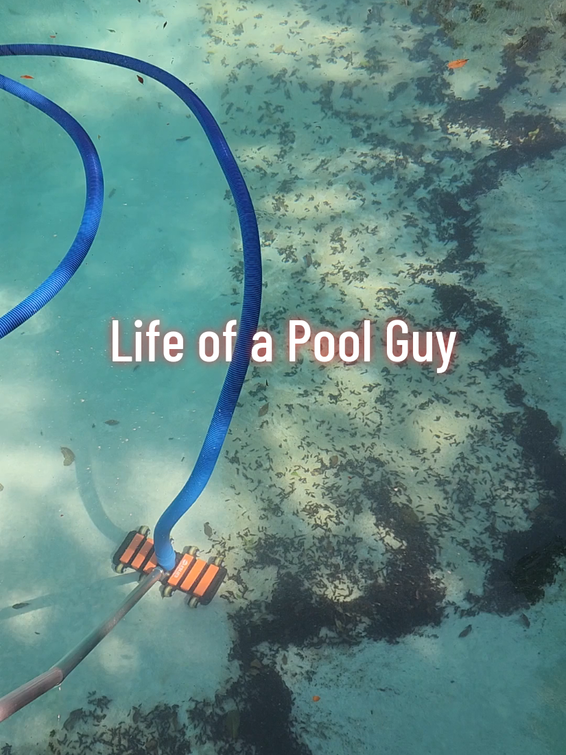@Rex | BR Pool Pro
