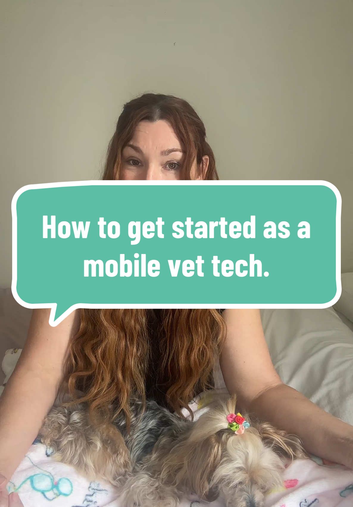 @The.Mobile.Vet.Tech