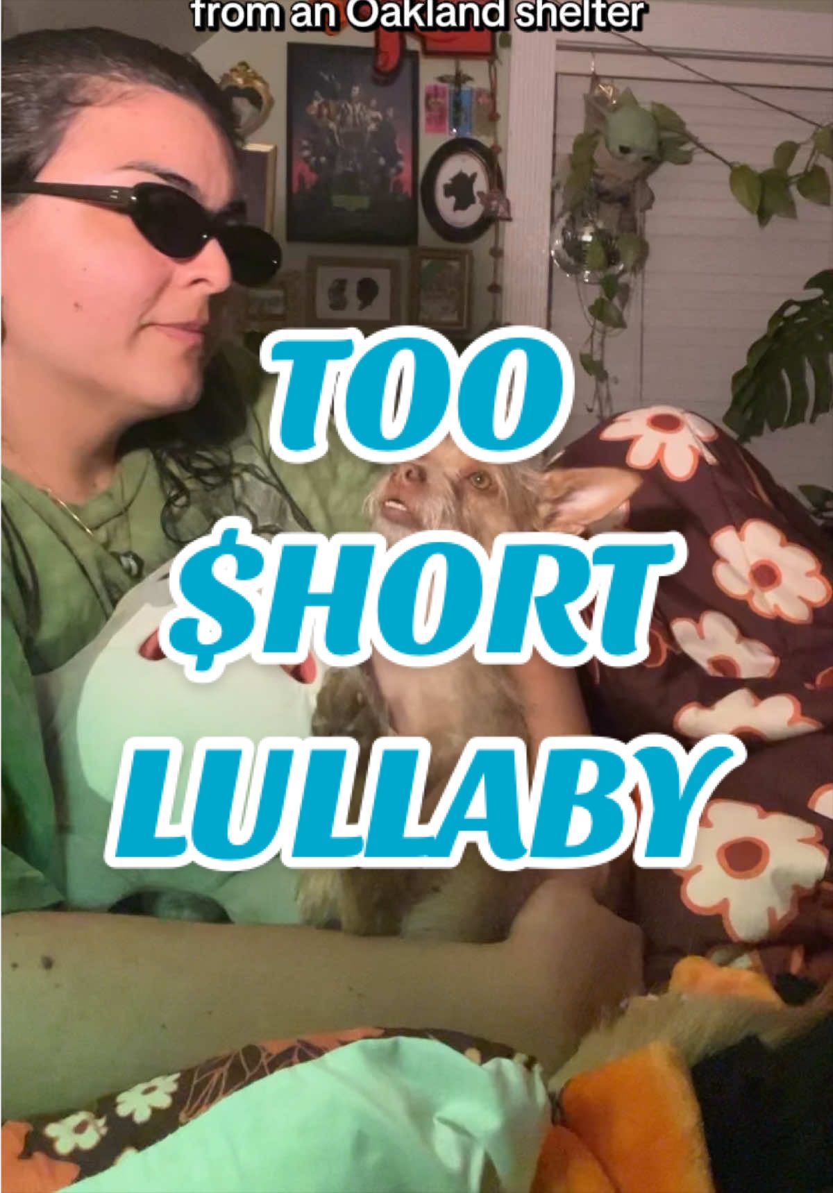 @What’s New Sunny-Doo?