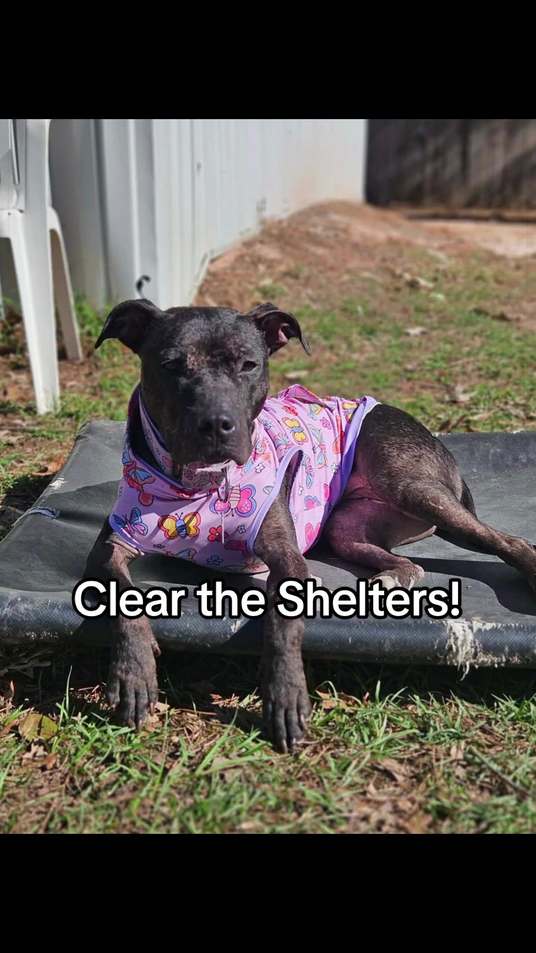 @Corridor Rescue Inc.