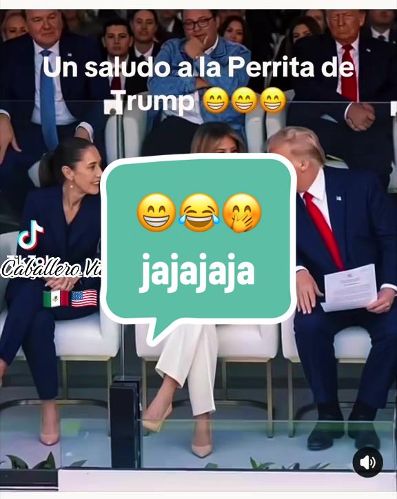 @caballeroviajero0317