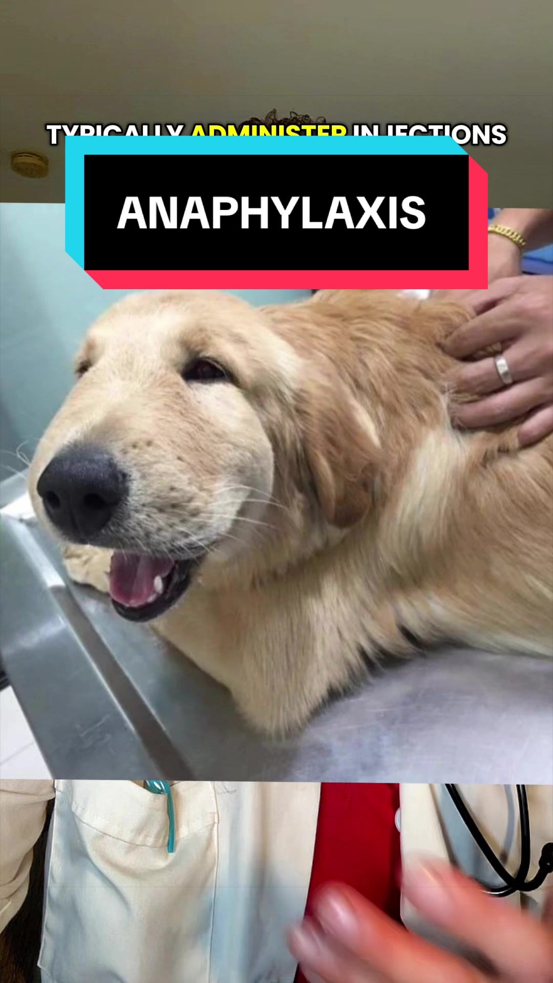 @dr.adam_christman_Veterinarian